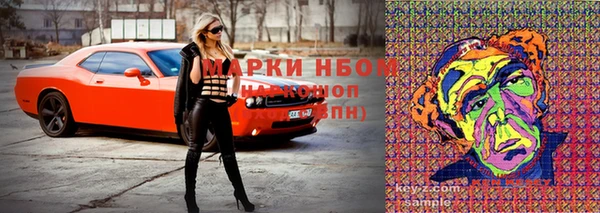 стаф Михайлов