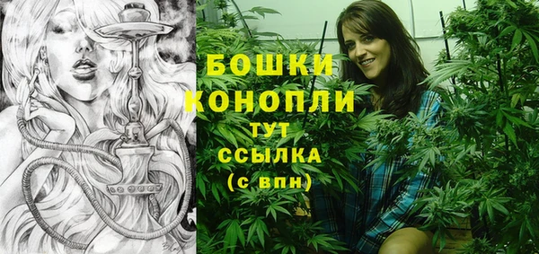 стаф Михайлов