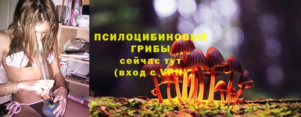 2c-b Михайловск