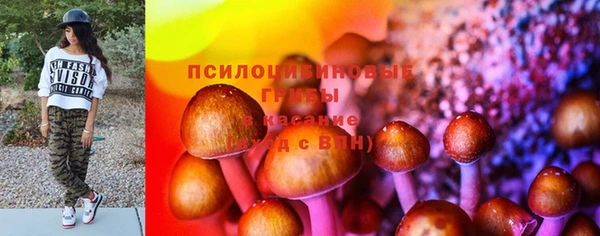 2c-b Михайловск